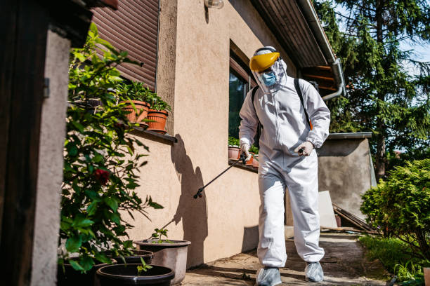 Best Pest Removal Services  in Port Orchard, WA