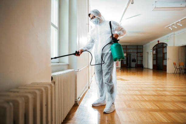 Best Emergency Pest Control  in Port Orchard, WA