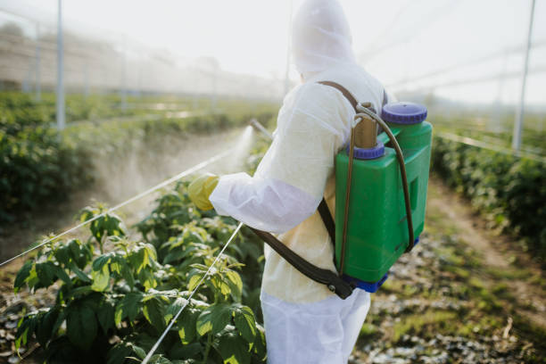 Best Affordable Pest Control Services  in Port Orchard, WA
